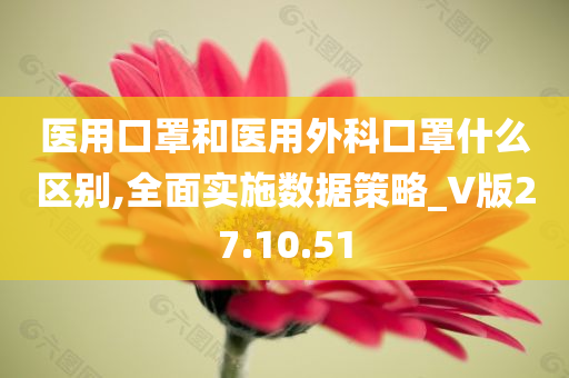 医用口罩和医用外科口罩什么区别,全面实施数据策略_V版27.10.51