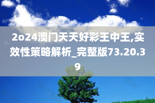 2o24澳门天天好彩王中王,实效性策略解析_完整版73.20.39