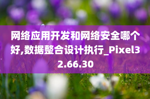 网络应用开发和网络安全哪个好,数据整合设计执行_Pixel32.66.30