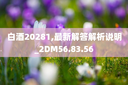 白酒20281,最新解答解析说明_2DM56.83.56