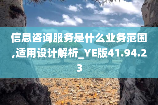 信息咨询服务是什么业务范围,适用设计解析_YE版41.94.23