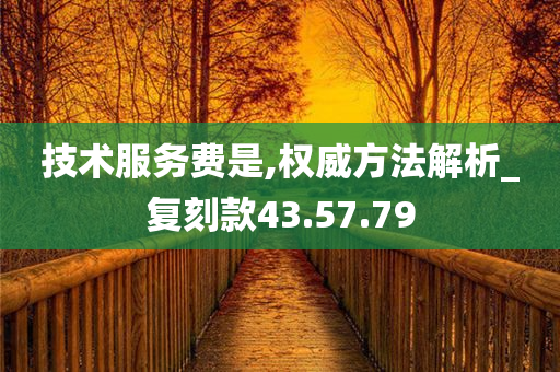 技术服务费是,权威方法解析_复刻款43.57.79