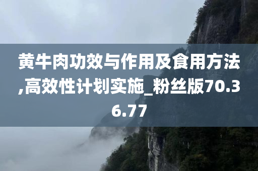 黄牛肉功效与作用及食用方法,高效性计划实施_粉丝版70.36.77