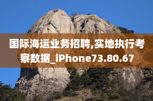 国际海运业务招聘,实地执行考察数据_iPhone73.80.67