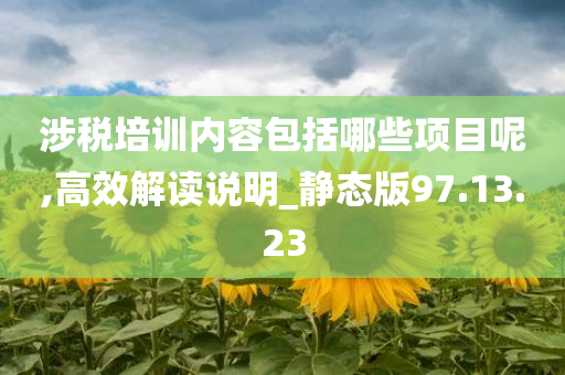 涉税培训内容包括哪些项目呢,高效解读说明_静态版97.13.23