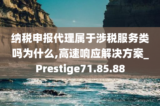 纳税申报代理属于涉税服务类吗为什么,高速响应解决方案_Prestige71.85.88