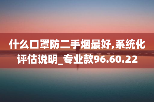 什么口罩防二手烟最好,系统化评估说明_专业款96.60.22