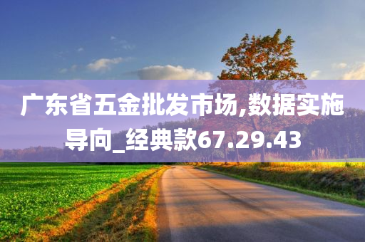 广东省五金批发市场,数据实施导向_经典款67.29.43