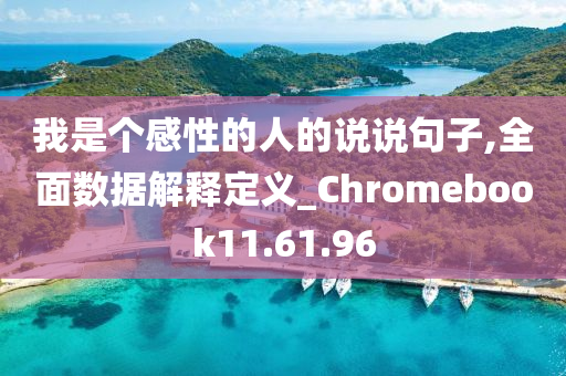 我是个感性的人的说说句子,全面数据解释定义_Chromebook11.61.96