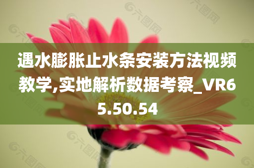 遇水膨胀止水条安装方法视频教学,实地解析数据考察_VR65.50.54