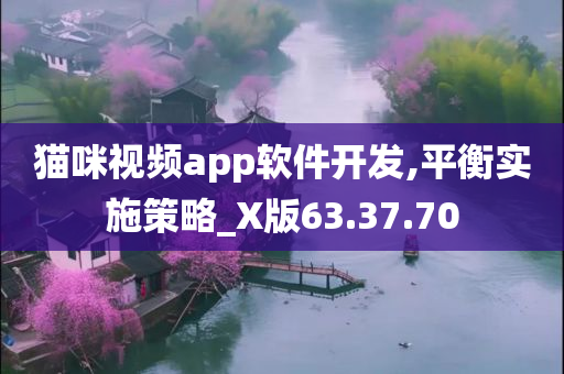 猫咪视频app软件开发,平衡实施策略_X版63.37.70