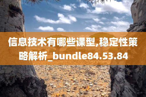 信息技术有哪些课型,稳定性策略解析_bundle84.53.84