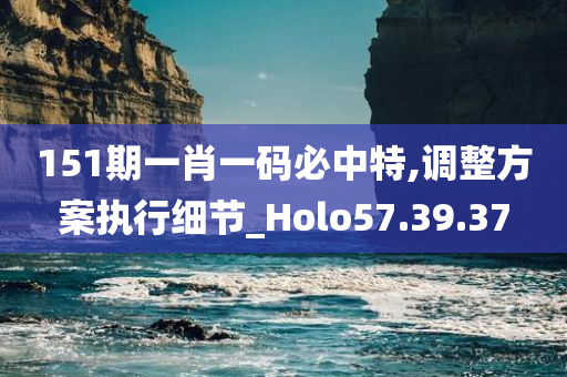 151期一肖一码必中特,调整方案执行细节_Holo57.39.37