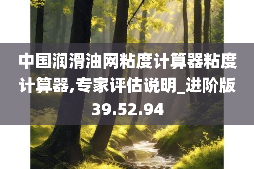 中国润滑油网粘度计算器粘度计算器,专家评估说明_进阶版39.52.94