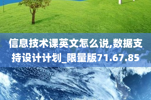 信息技术课英文怎么说,数据支持设计计划_限量版71.67.85