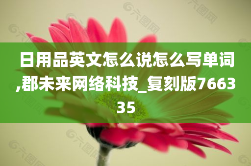 日用品英文怎么说怎么写单词,郡未来网络科技_复刻版766335