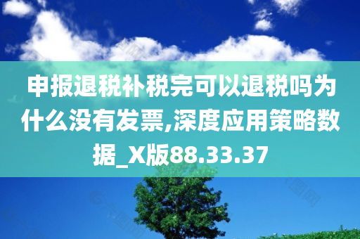 申报退税补税完可以退税吗为什么没有发票,深度应用策略数据_X版88.33.37