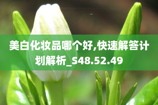 美白化妆品哪个好,快速解答计划解析_S48.52.49