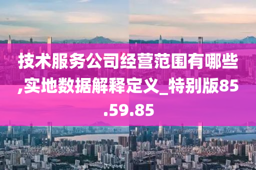 技术服务公司经营范围有哪些,实地数据解释定义_特别版85.59.85