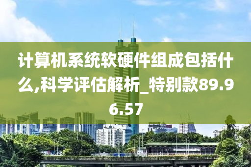 计算机系统软硬件组成包括什么,科学评估解析_特别款89.96.57