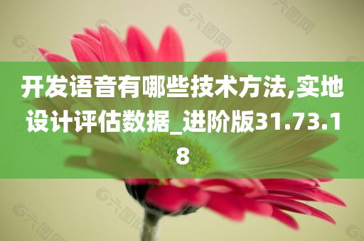 开发语音有哪些技术方法,实地设计评估数据_进阶版31.73.18