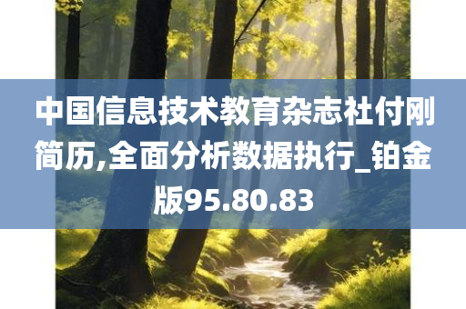 中国信息技术教育杂志社付刚简历,全面分析数据执行_铂金版95.80.83