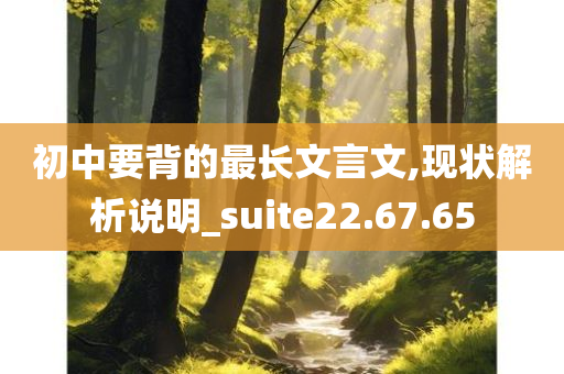 初中要背的最长文言文,现状解析说明_suite22.67.65