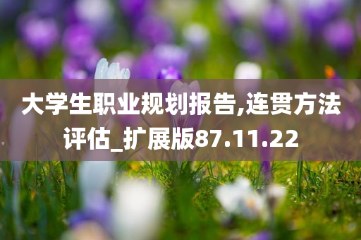 大学生职业规划报告,连贯方法评估_扩展版87.11.22