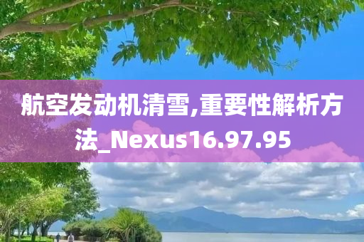 航空发动机清雪,重要性解析方法_Nexus16.97.95