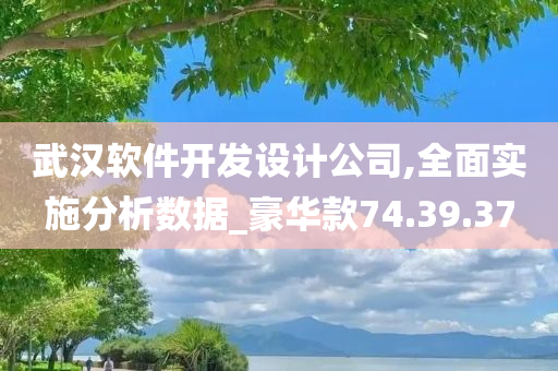 武汉软件开发设计公司,全面实施分析数据_豪华款74.39.37