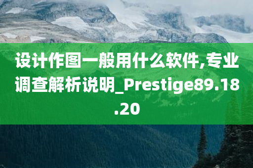 设计作图一般用什么软件,专业调查解析说明_Prestige89.18.20