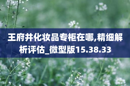 王府井化妆品专柜在哪,精细解析评估_微型版15.38.33