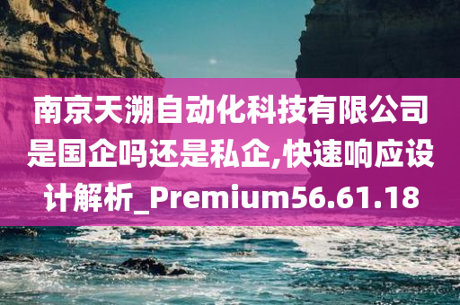 南京天溯自动化科技有限公司是国企吗还是私企,快速响应设计解析_Premium56.61.18