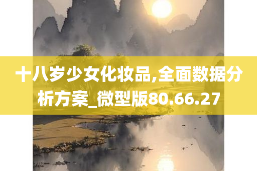 十八岁少女化妆品,全面数据分析方案_微型版80.66.27