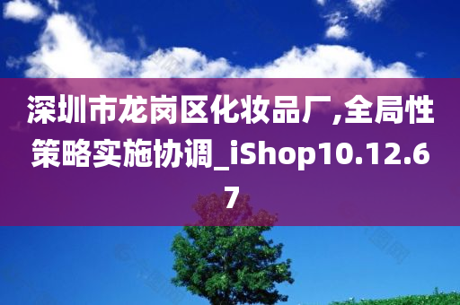 深圳市龙岗区化妆品厂,全局性策略实施协调_iShop10.12.67