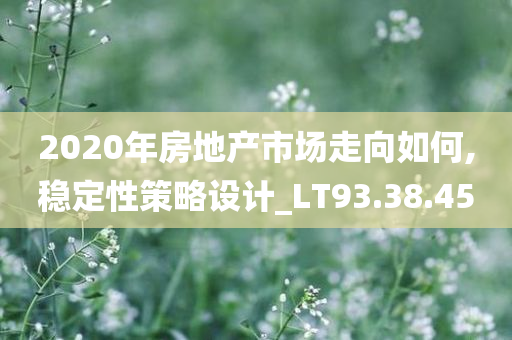 2020年房地产市场走向如何,稳定性策略设计_LT93.38.45