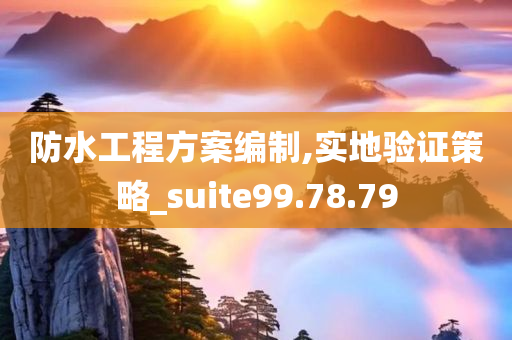 防水工程方案编制,实地验证策略_suite99.78.79