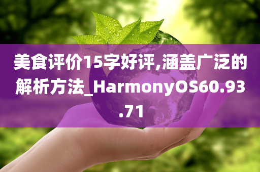 美食评价15字好评,涵盖广泛的解析方法_HarmonyOS60.93.71