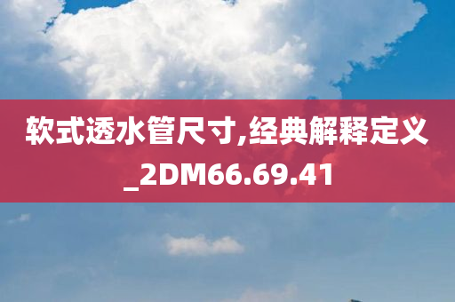 软式透水管尺寸,经典解释定义_2DM66.69.41