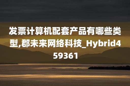 发票计算机配套产品有哪些类型,郡未来网络科技_Hybrid459361