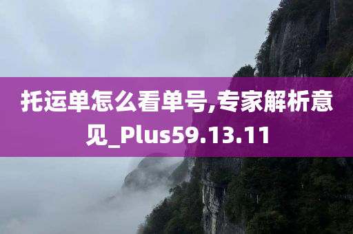 托运单怎么看单号,专家解析意见_Plus59.13.11