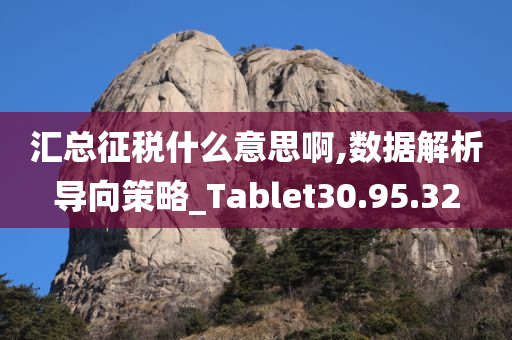 汇总征税什么意思啊,数据解析导向策略_Tablet30.95.32