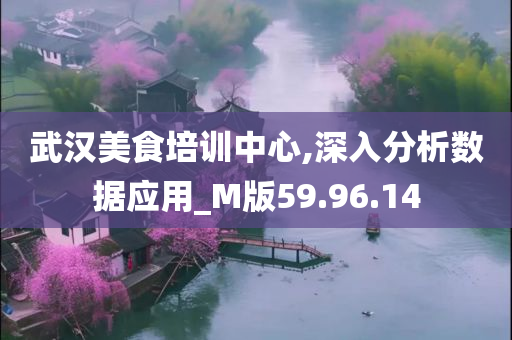 武汉美食培训中心,深入分析数据应用_M版59.96.14