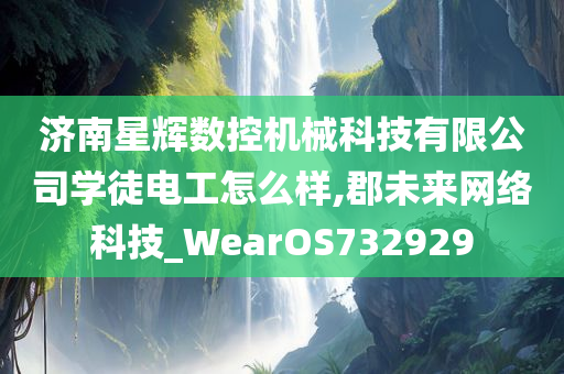 济南星辉数控机械科技有限公司学徒电工怎么样,郡未来网络科技_WearOS732929