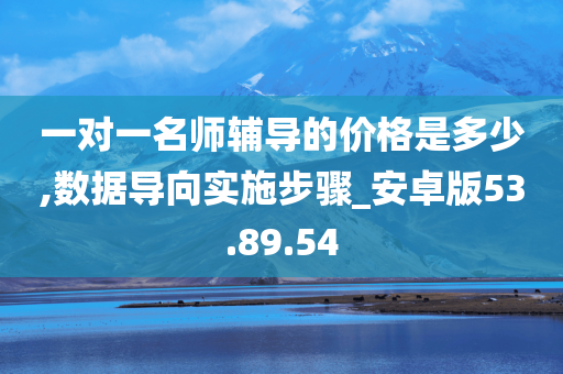 一对一名师辅导的价格是多少,数据导向实施步骤_安卓版53.89.54