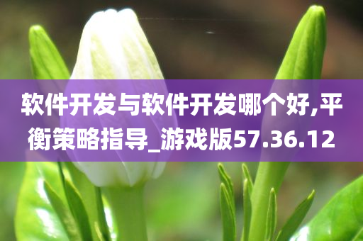 软件开发与软件开发哪个好,平衡策略指导_游戏版57.36.12