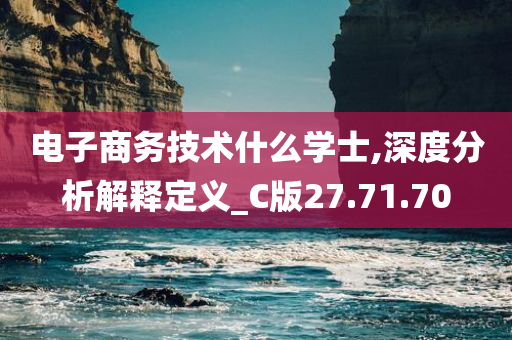 电子商务技术什么学士,深度分析解释定义_C版27.71.70