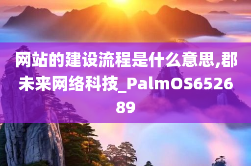 网站的建设流程是什么意思,郡未来网络科技_PalmOS652689