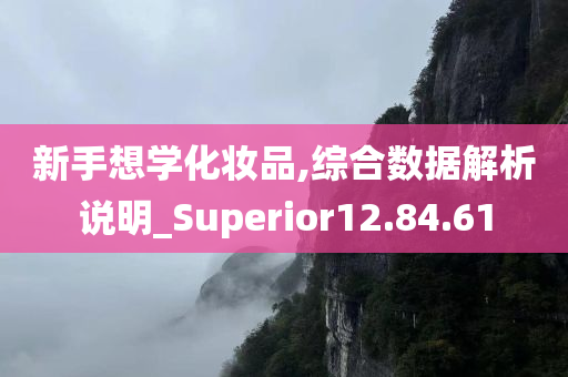 新手想学化妆品,综合数据解析说明_Superior12.84.61