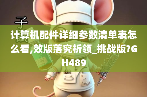 计算机配件详细参数清单表怎么看,效版落究析领_挑战版?GH489